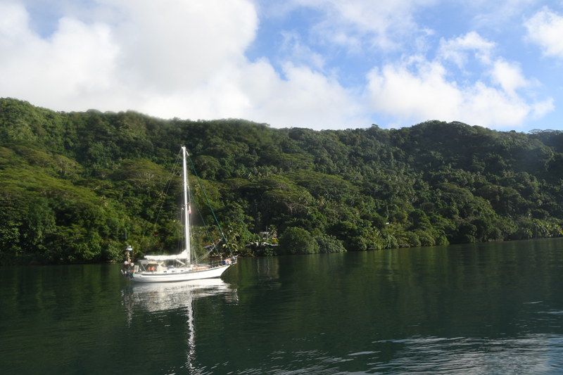 Catamaran de croisière sur la rivière Fa'aroa