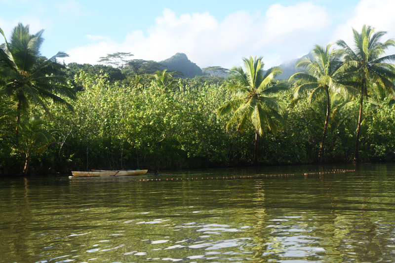 Rivière navigable Fa'aroa de Raiatea