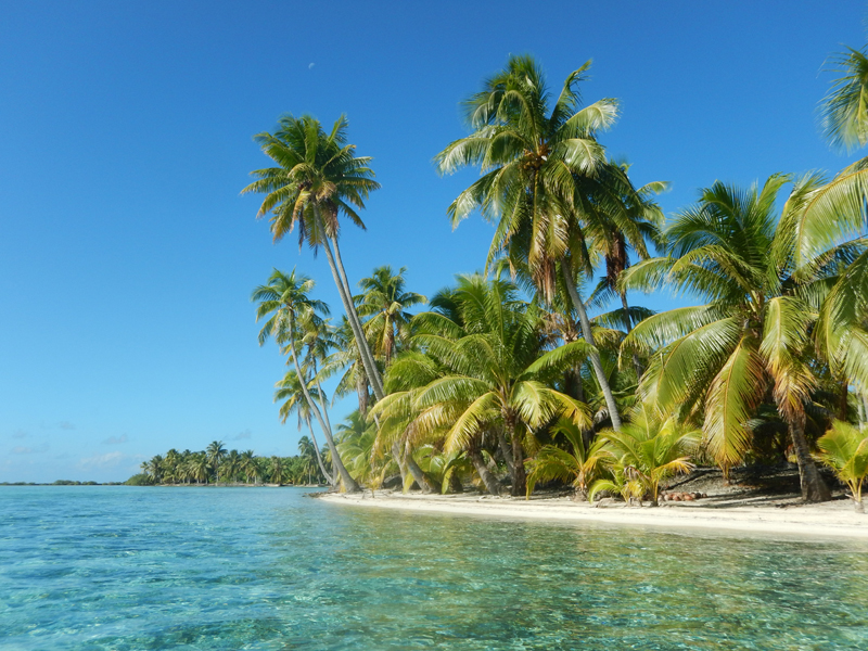 Plage paradisiaque à Oromahana