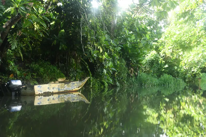 Canot à moteur sur la rivière Fa'aroa