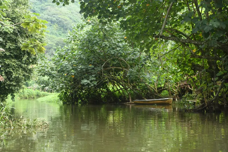 Ponton sur la rivière Fa'aroa