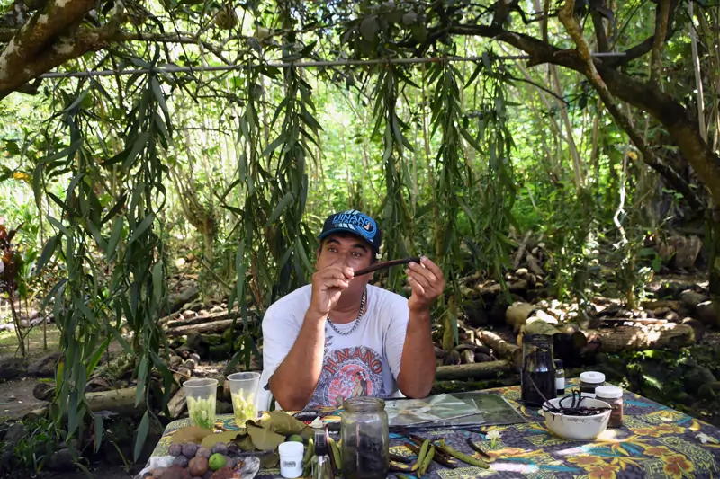 Présentation des gousses de vanilles de Taha'a à la vallée de la vanille