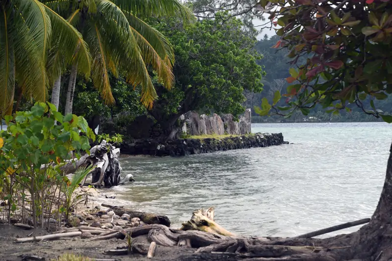Vestiges du temple de la Marae Taputapuātea sur les berges de Raiatea